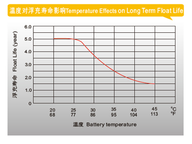 1620898526129862.jpg 3.jpg